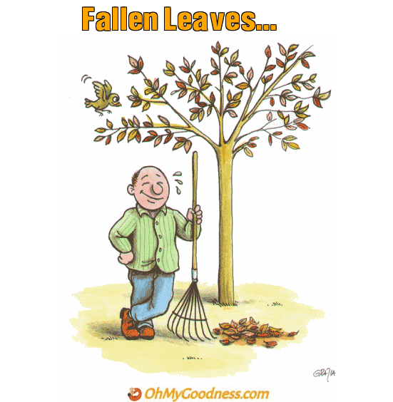 : Fallen Leaves...