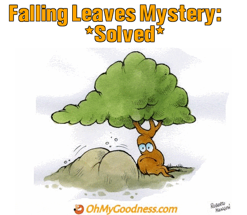 : Falling Leaves Mystery: *Solved*