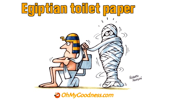 : Egiptian toilet paper