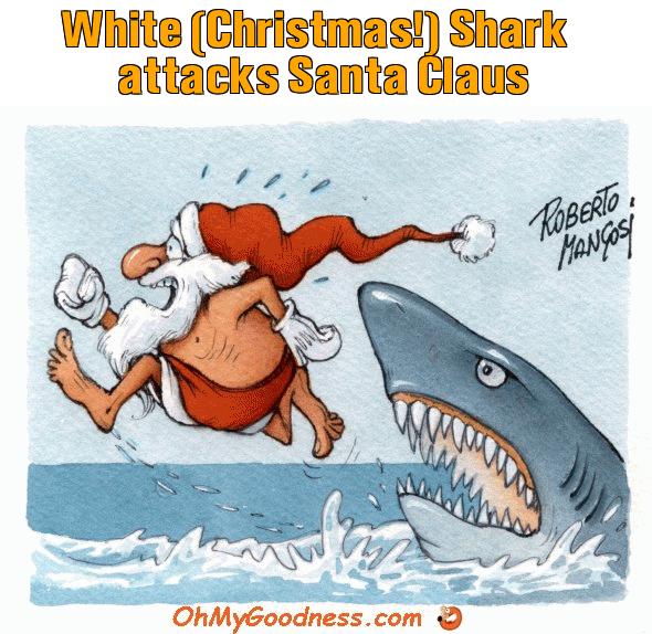 : White (Christmas!) Shark attacks Santa Claus