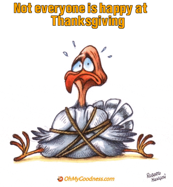 : Not everyone is happy at Thanksgiving