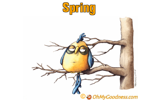 : Spring