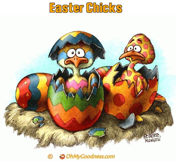 : Easter Chicks