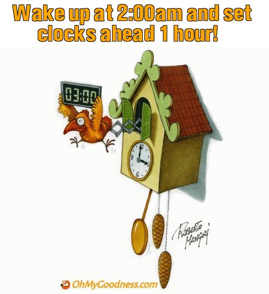 : Wake up at 2:00am and set clocks ahead 1 hour!