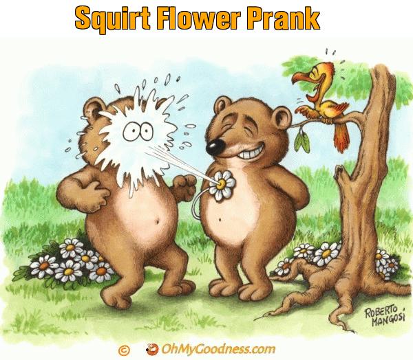 : Squirt Flower Prank