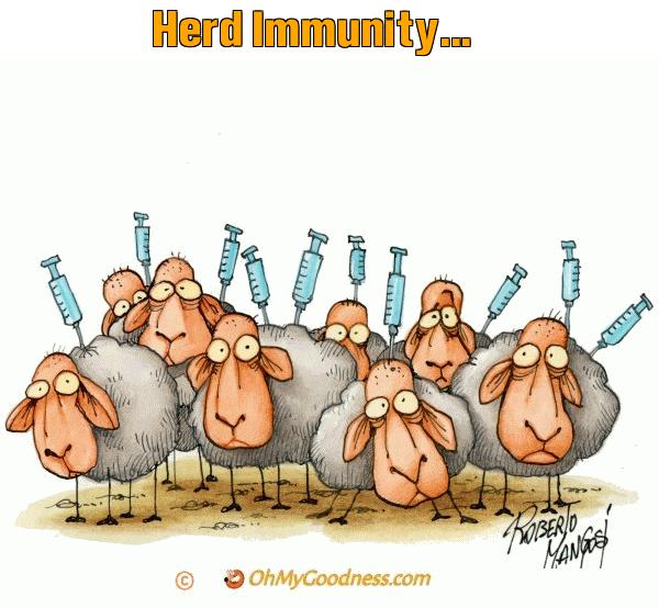 : Herd Immunity...