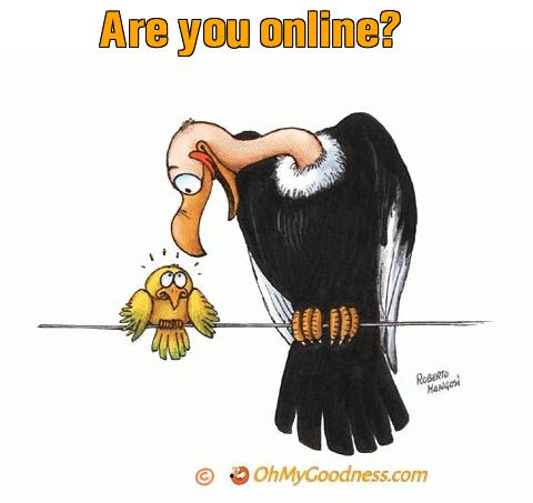: Are you online?