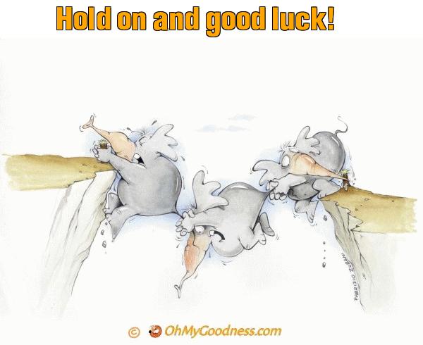 : Hold on and good luck!