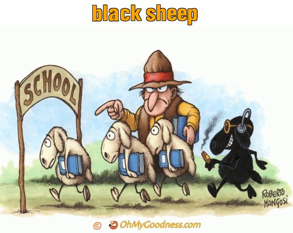 : black sheep