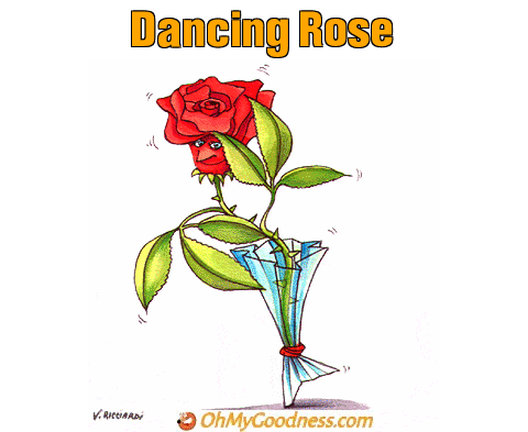: Dancing Rose