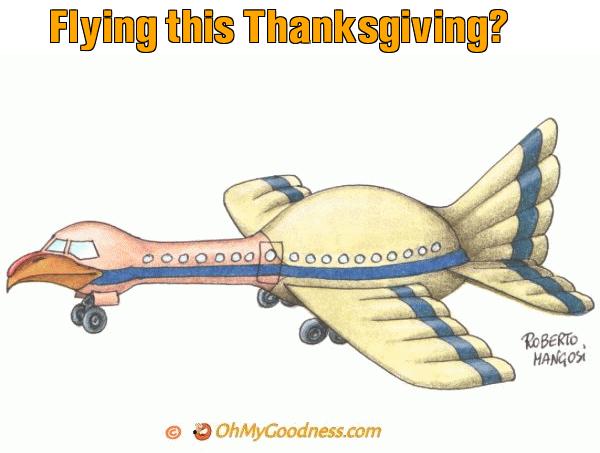 : Flying this Thanksgiving?