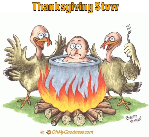 : Thanksgiving Stew