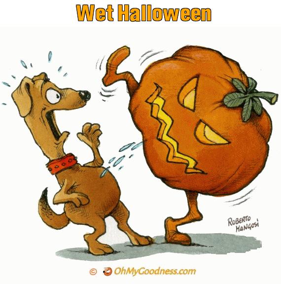 : Wet Halloween