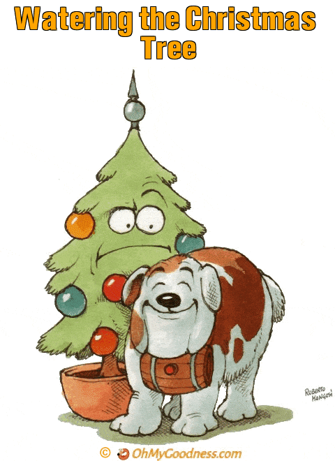 : Watering the Christmas Tree