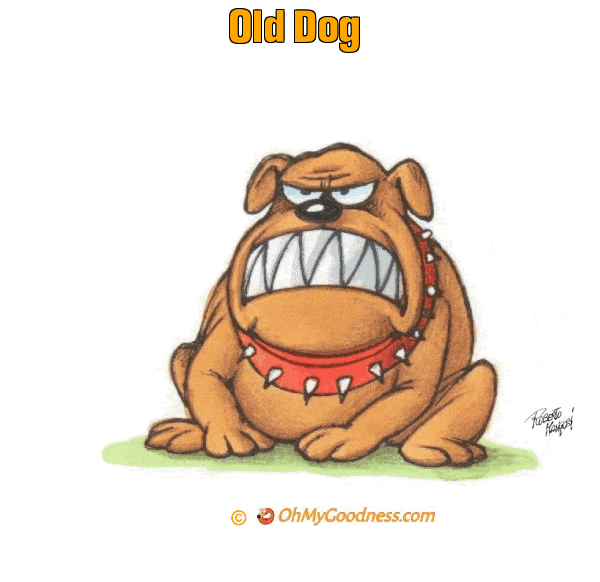 : Old Dog