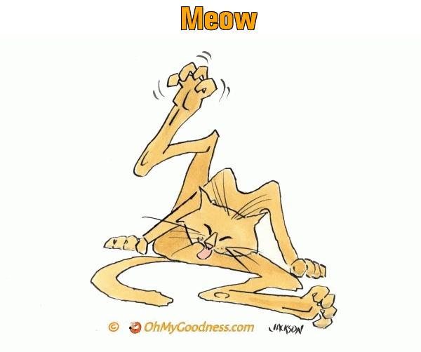 : Meow