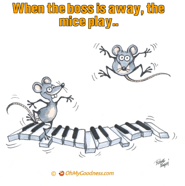 : When the boss is away, the mice play..