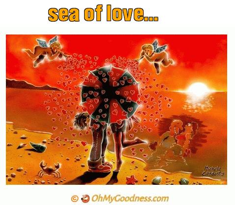 : sea of love...