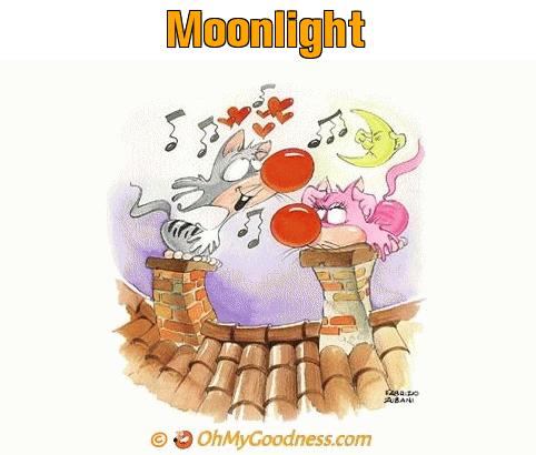 : Moonlight