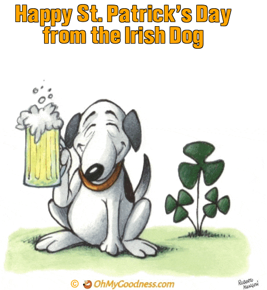 : Happy St. Patrick's Day from the Irish Dog