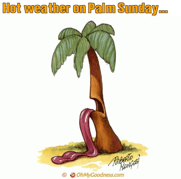 : Hot weather on Palm Sunday...