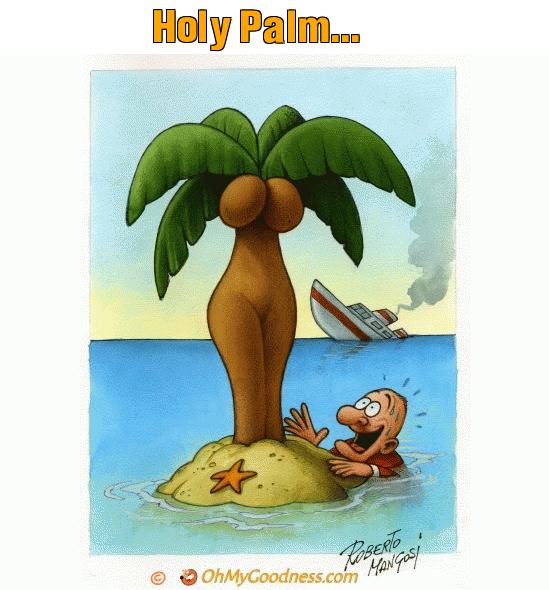 : Holy Palm...