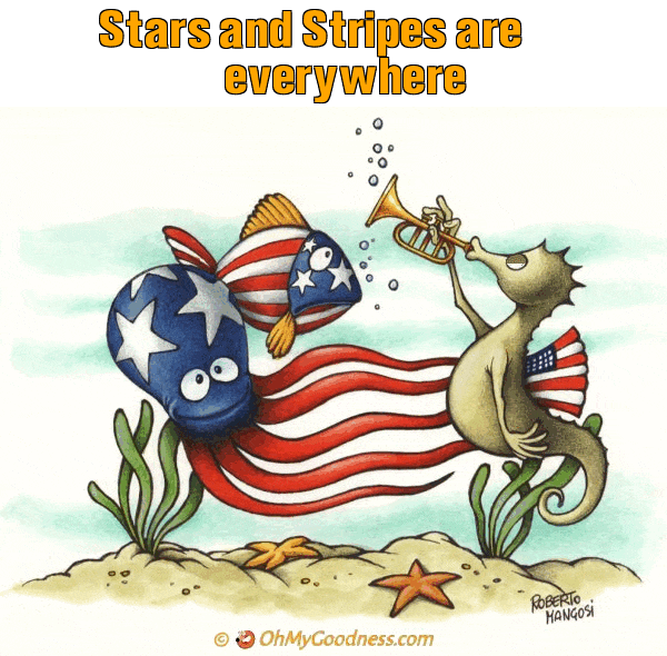 : Stars and Stripes are everywhere