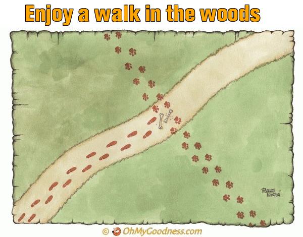 : Enjoy a walk in the woods