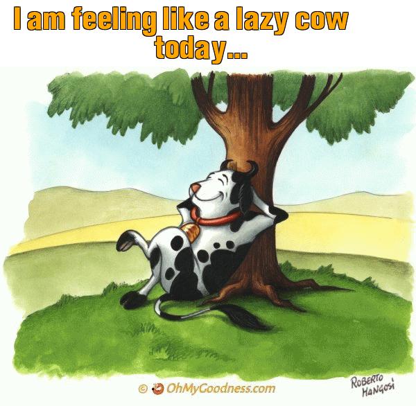 : I am feeling like a lazy cow today...