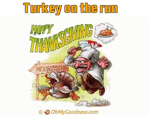 : Turkey on the run