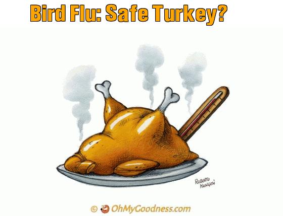: Bird Flu: Safe Turkey?