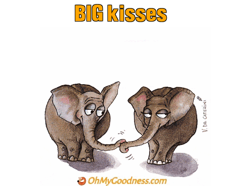 : BIG kisses