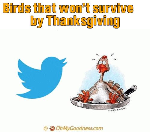 : Birds that won't survive by Thanksgiving