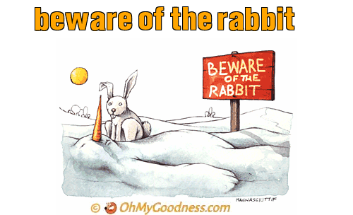 : beware of the rabbit