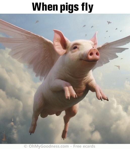 : When pigs fly