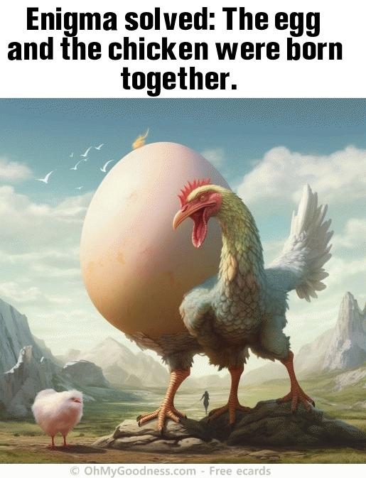 : Enigma solved: The egg and the chicken were born together.