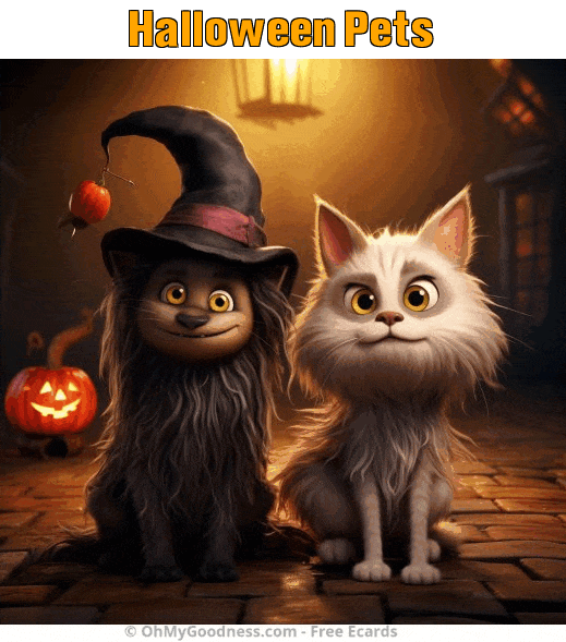 : Halloween Pets