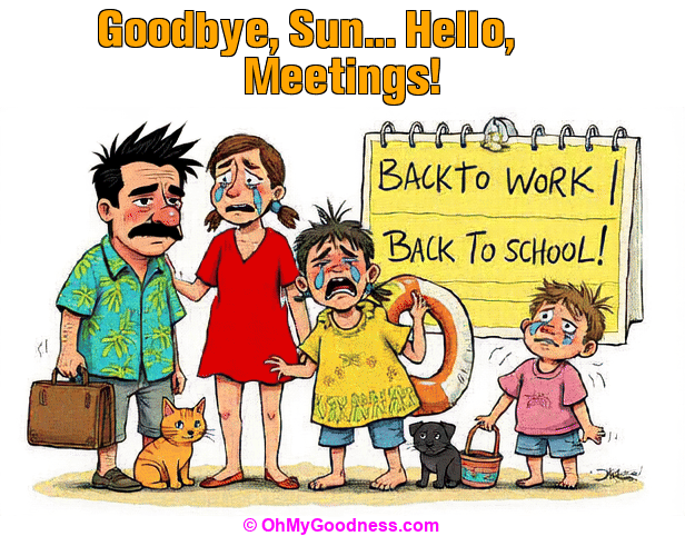 : Goodbye, Sun... Hello, Meetings!