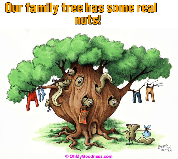 : Our family tree has some real nuts!