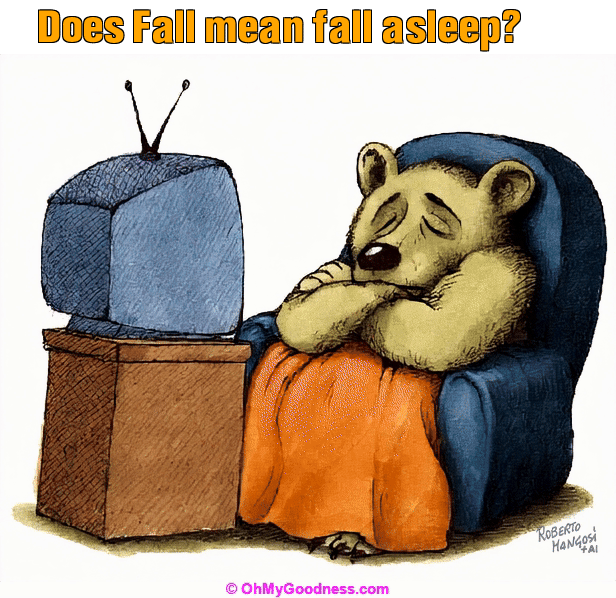 : Does Fall mean fall asleep?