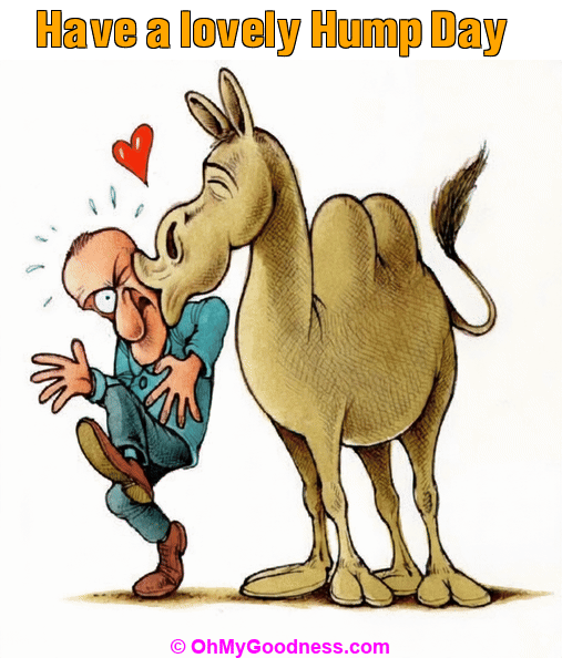 : Have a lovely Hump Day