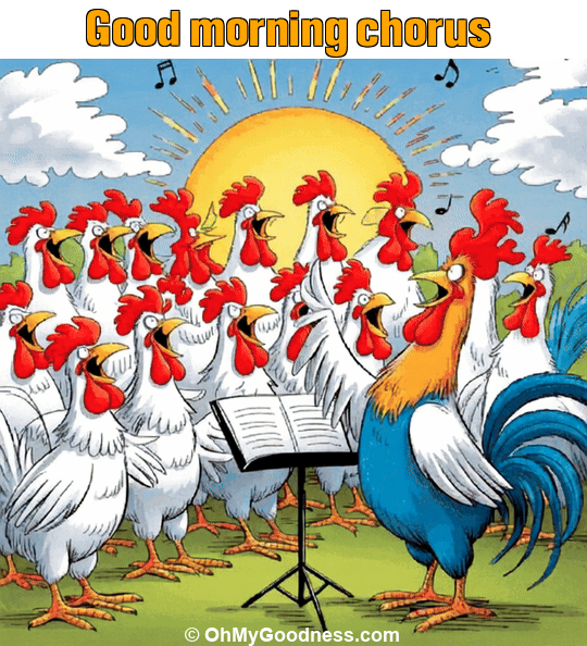 : Good morning chorus