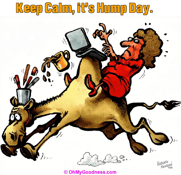 : Keep Calm, it's Hump Day.
