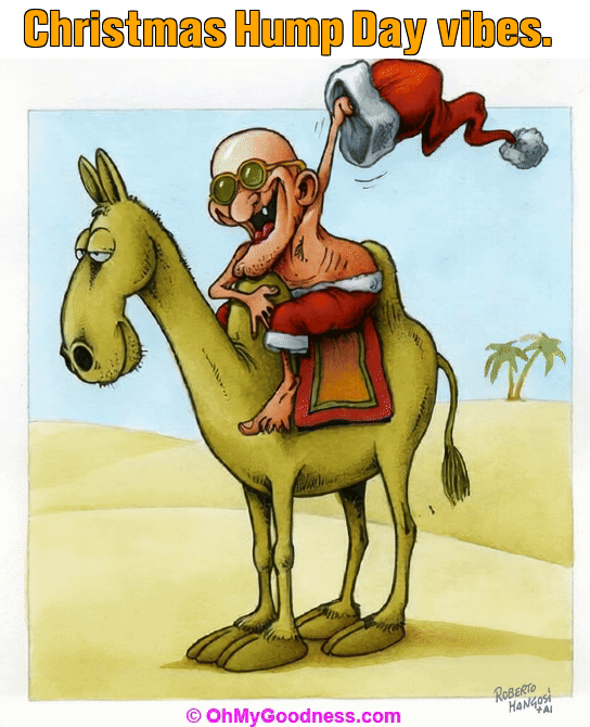 : Christmas Hump Day vibes.
