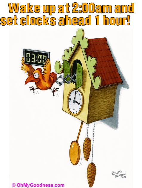: Wake up at 2:00am and set clocks ahead 1 hour!