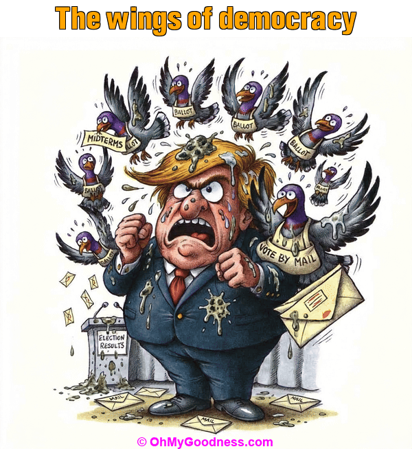 : The wings of democracy