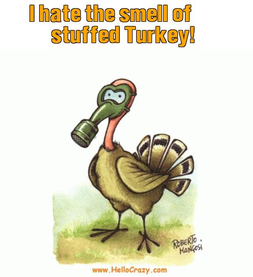 : I hate the smell of stuffed Turkey!