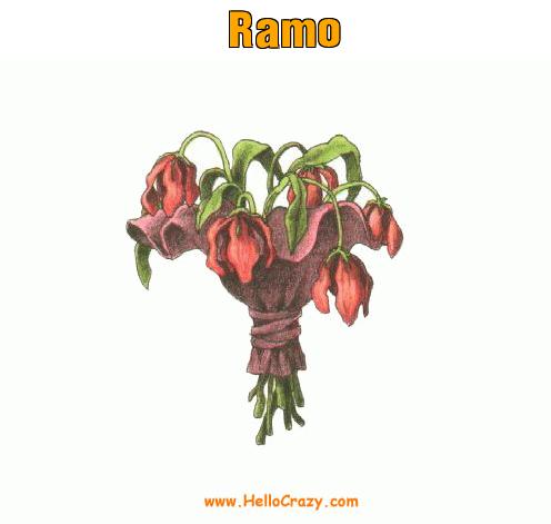 : Ramo