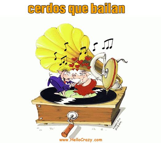 : cerdos que bailan