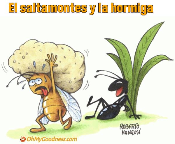 : El saltamontes y la hormiga